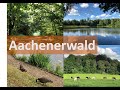 Aachenerwald/Forest in Germany/Sightseeing in Germany/Indian Vlogger in Germany