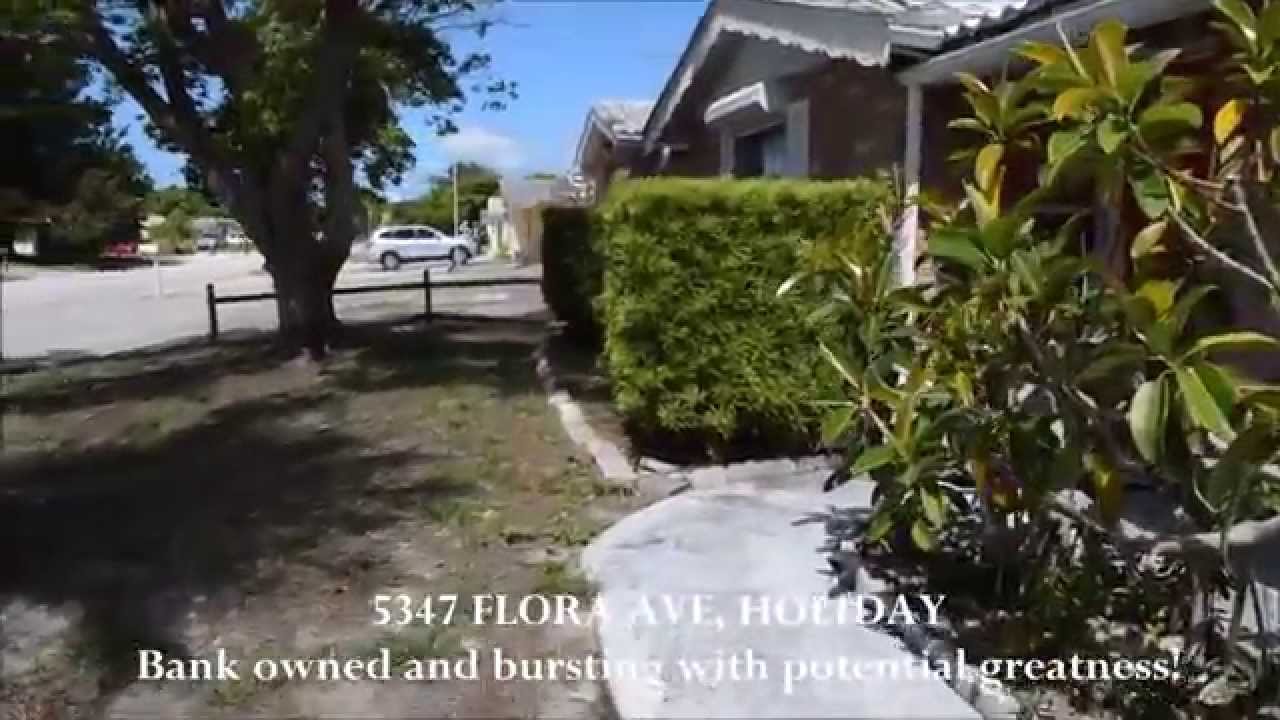 5347 Flora Ave, Holiday, Fl Bank Owned Foreclosure Video Tour Pasco County Best Realtor