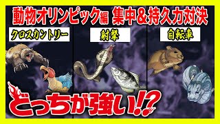 【どっちが強い】動物たちの熱き戦いが始まる!クロスカントリー!射撃!自転車!!勝つのはどっちだ!?