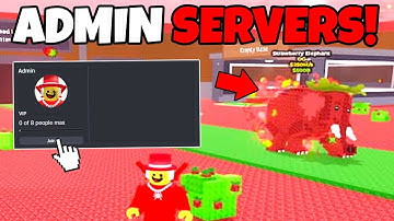 How to JOIN ADMIN SERVERS in Steal a Brainrot!