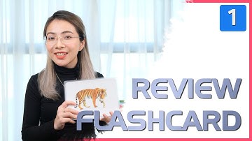 Trò chơi với flashcards (phần 1) | Sóc Nhỏ học và chơi | Mẹ và Sóc