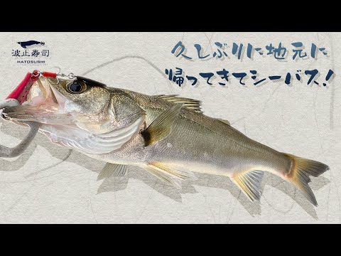 HATOSUSHI - YouTube