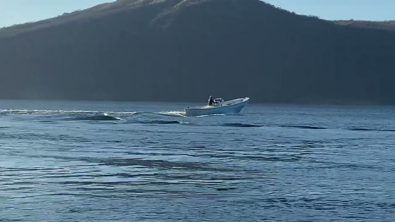 Angler Panga with inboard diesel