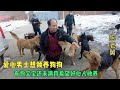 爱心男子想收养狗狗，救助站有狗宝宝还没满月，望领养后得到关爱   -Dog rescue in China --20210308