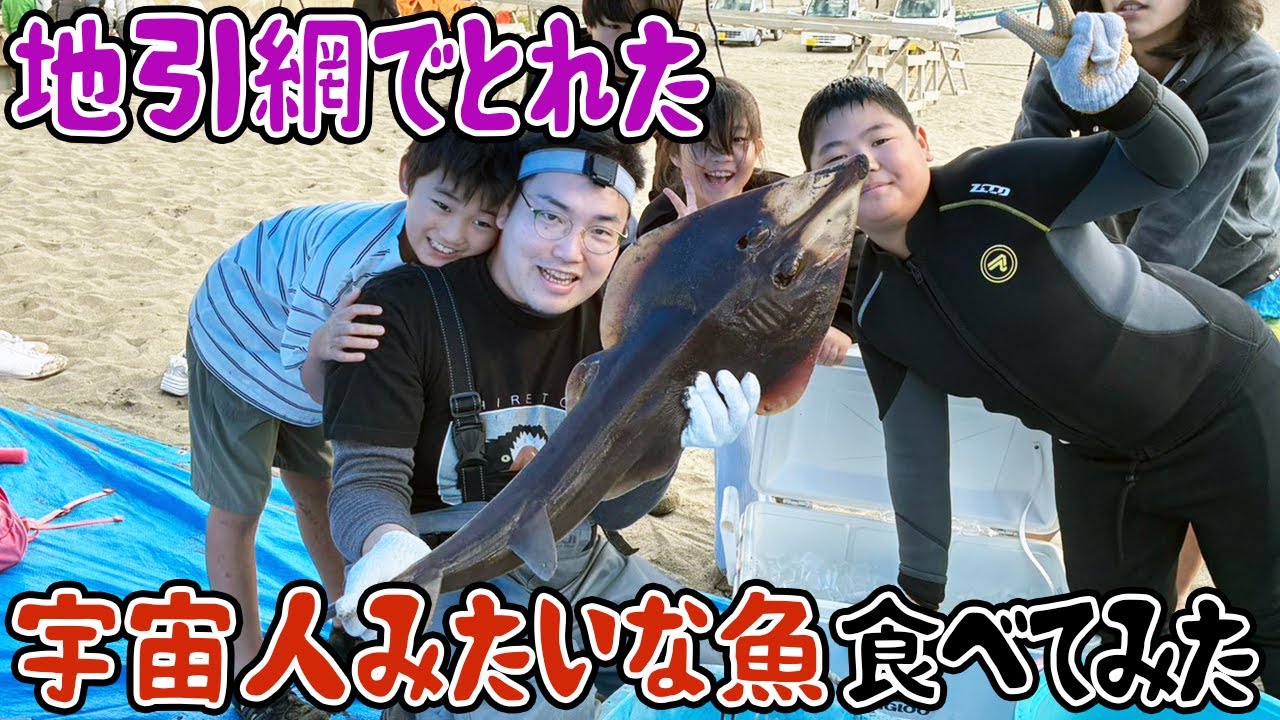 地引網で宇宙人みたいな魚とれたので食べた
