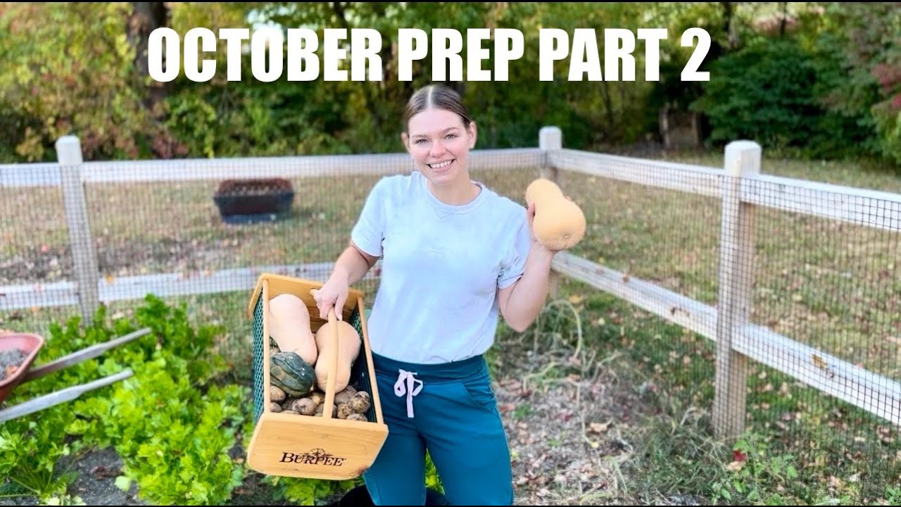 Fall Garden Harvest/Tour For Zone 6b - YouTube