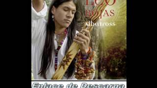 Leo Rojas Disco : Albatros ( 2013 )