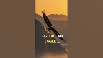 Thumbnail of "Fly like an eagle...🦅🦅: focused, fearless,and free.."#motivation #eagles #youtube shorts #youth ,🦅