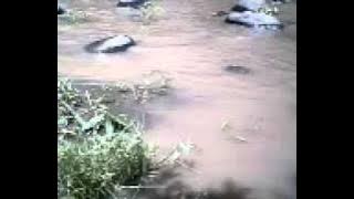 Download lagu 4 lawang muara karang lintang-pareman tanggung