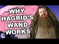 Harry Potter Theory: The History Of Hagrid’s Wand