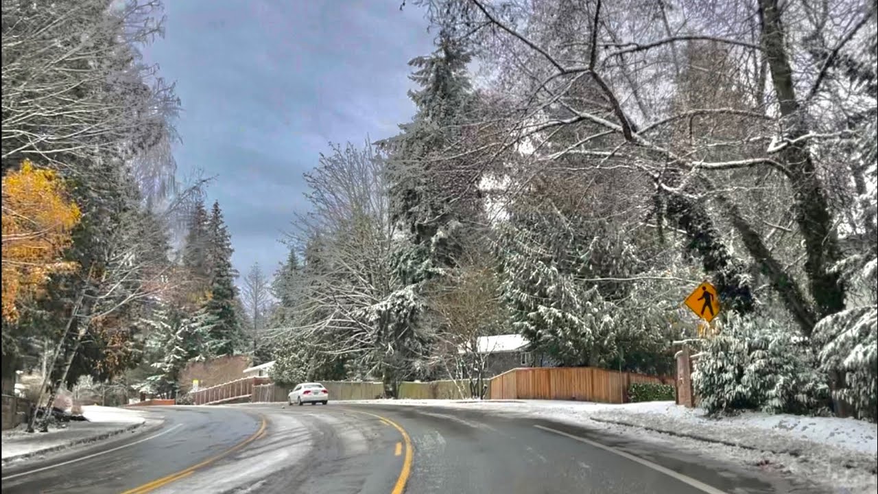 Seattle Winter Storm 2022 | 4K Winter Storm In Washington USA - YouTube