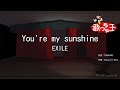 【カラオケ】You&#39;re my sunshine/EXILE