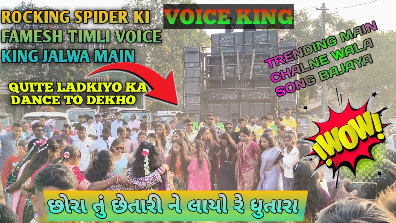છોરા તું છેતારી ને લાયો રે ધુતારા  VOICE KING JALWA MAIN ROKING SPIDER KI TIMLI 