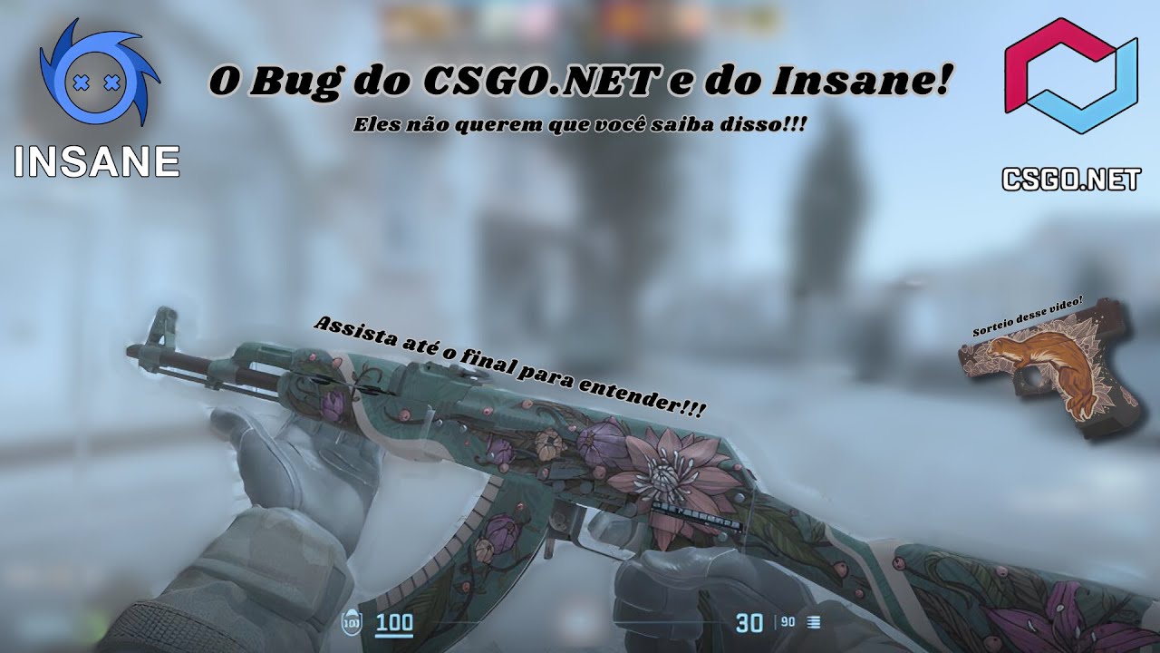 *O Bug * CSGO.NET e o INSANE.GG não querem que você saiba disso ...