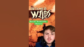 FTGA - Chitin #worldbuilding #fantasy #pokemon #gamedesign #indiegame #gaming #gamedevelopment #rpg