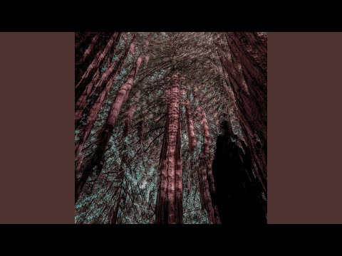 Beth Orton - Fractals
