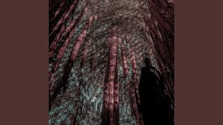 Fractals - Beth Orton