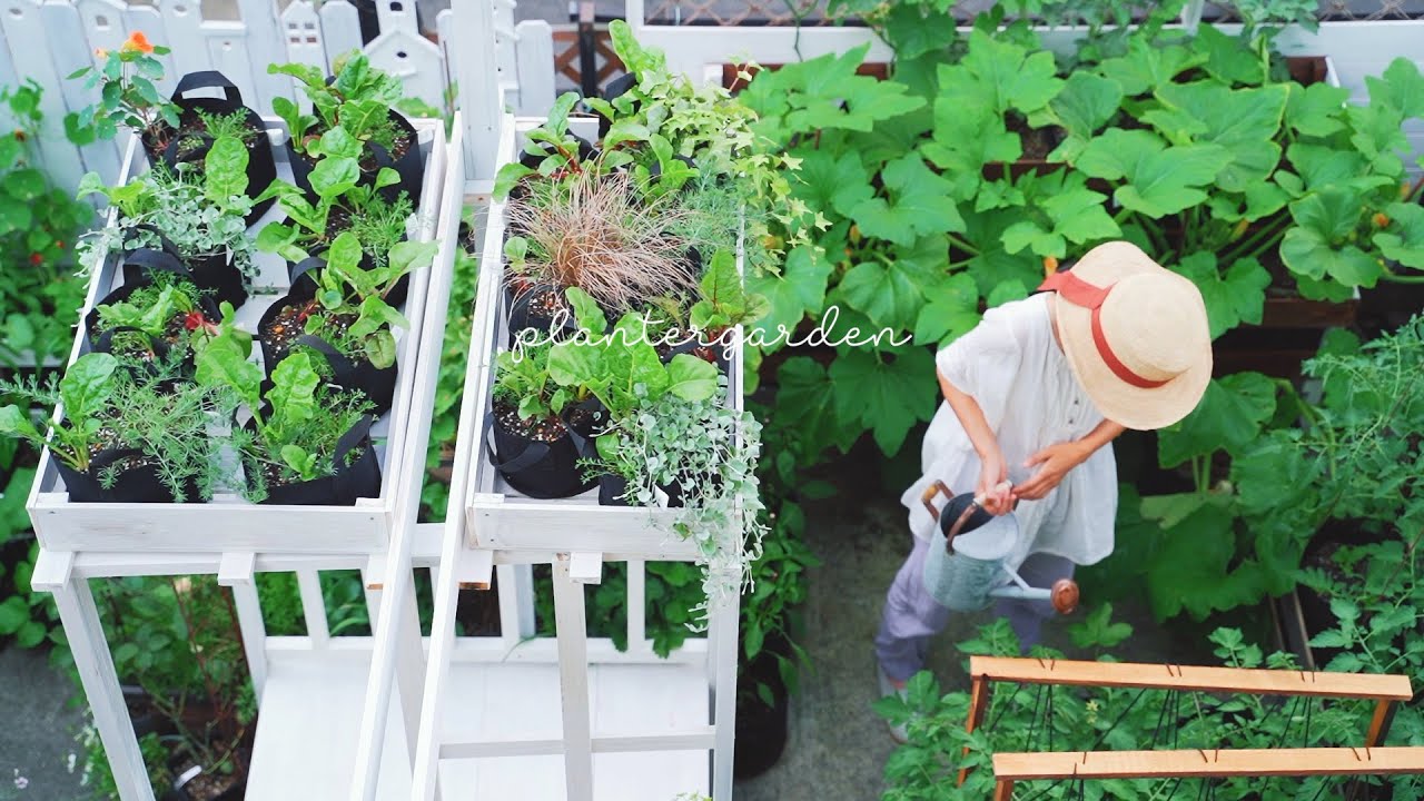 【プランター菜園】ベンチの屋根に植物をのせたら｜好みの長さでお手軽な夏野菜の支柱立て
