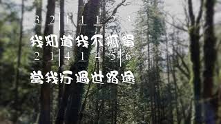 Video thumbnail of "有一恩手 Higher Hands Are Leading Me Lyric/Music: John W Peterson 教唱版 簡譜 中文字幕 人聲演唱 寇佳踪 John Kou"