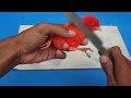 Cutting baby color chicks cutting toy fish and turtle toy  hen 4k