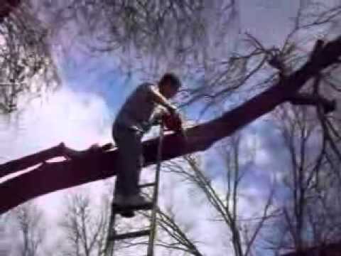 Tree Trimming accident