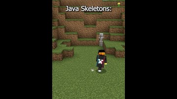 Minecraft Skeletons Bedrock VS Java