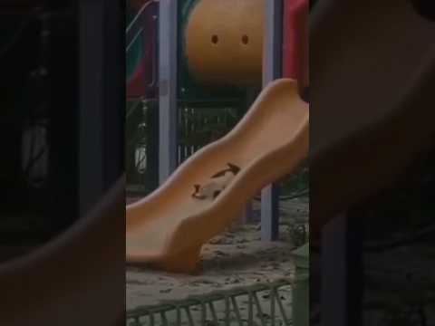 يا هوا روح وقلو قلو كتير اشتقتلو تصاميمي بدون حقوق النشر تابعوني