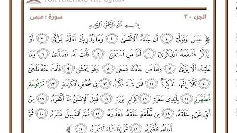 سورة عبس - الشيخ دلير البرزنجي -Dler Al Barzingi