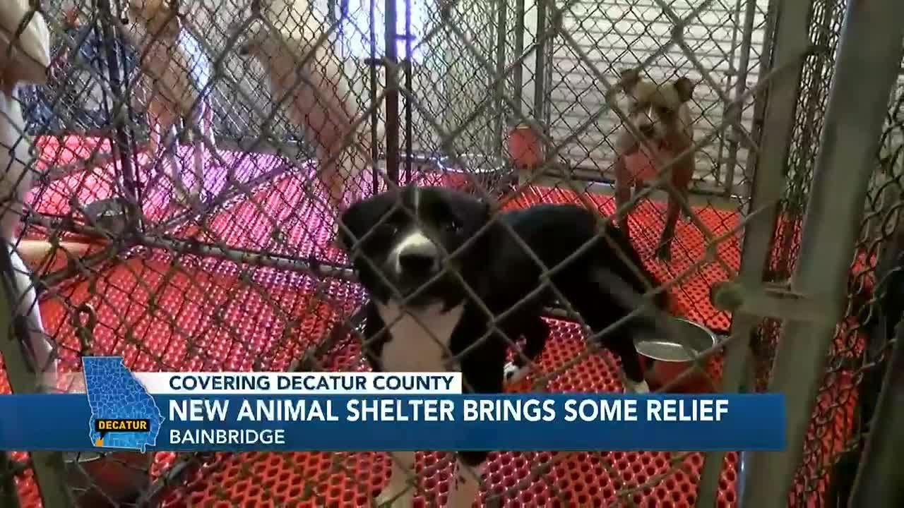 New animal shelter in Decatur County brings relief YouTube