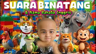 Lagu Suara Binatang & Bahasa Inggris