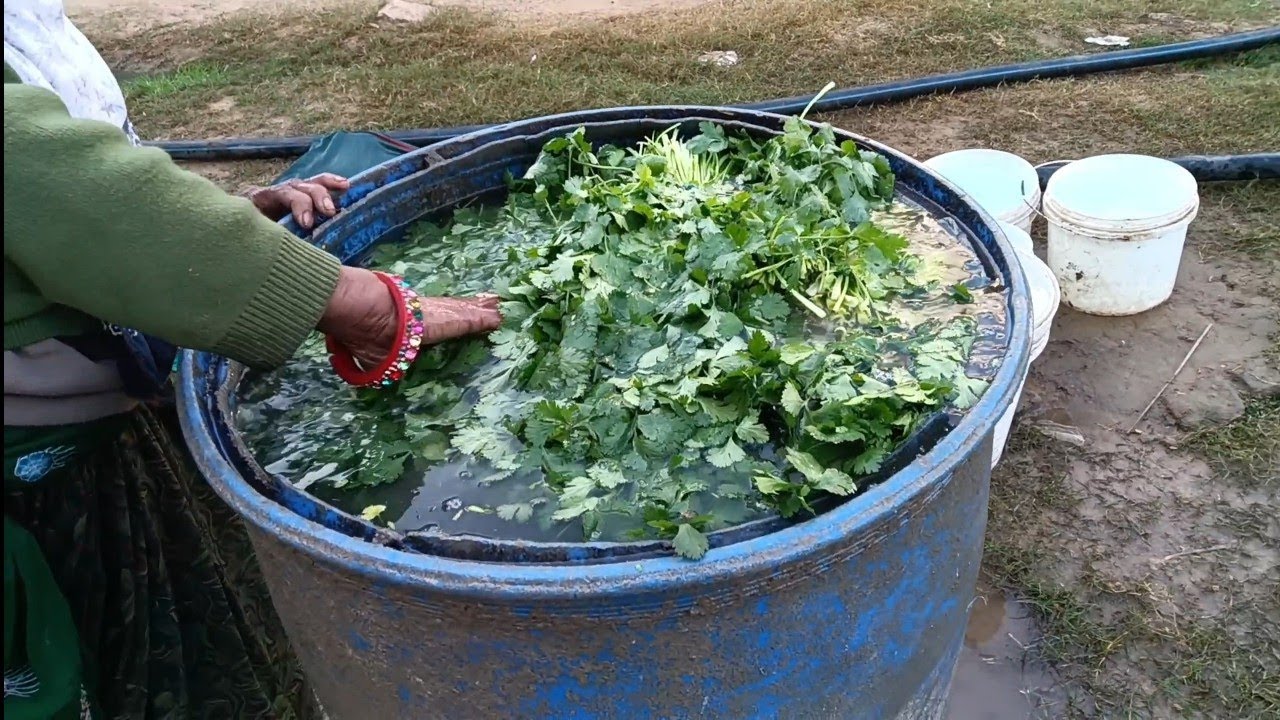 Today 30 Day Vlogging Journey Complete हो गई 🔥|| 1000 Day Vlog Challenge ♥️ || 