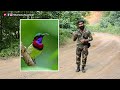 Smallest Sunbird of India | Crimson-backed Sunbird | by Shantanu Kuveskar