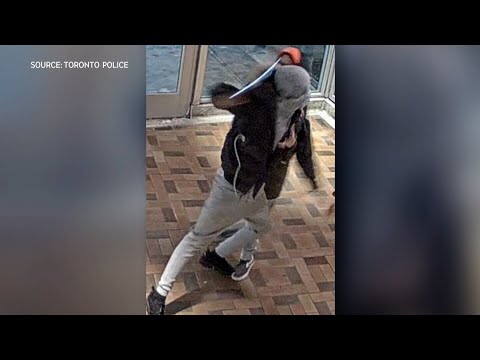 Police searching for three suspects after woman spat on, face slashed in Toronto transit assault