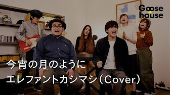 Top Covers Elephant Kashimashi Youtube