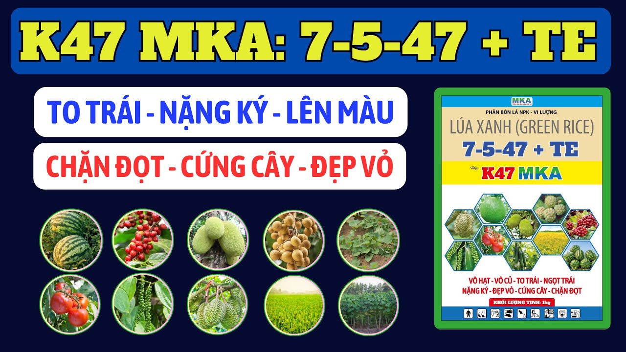 K47 MKA: NPK hòa tan chứa Kali cao 7-5-47 + TE | Giải pháp chặn đọt, tăng trọng lượng và lên màu đẹp