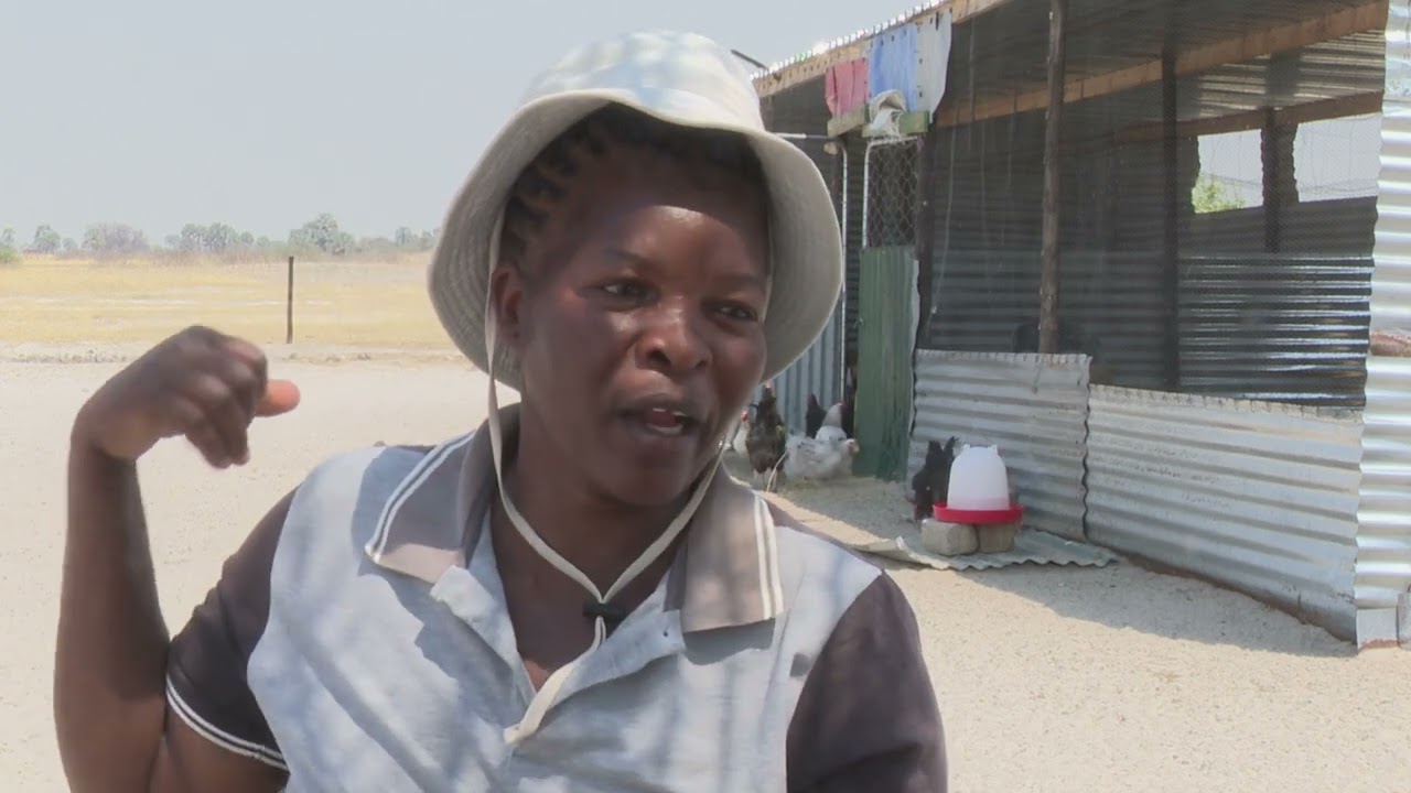 Etameko Poultry and Gardening