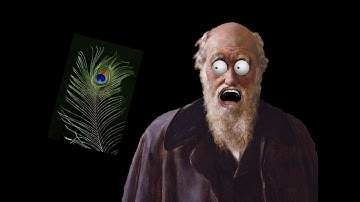 Peacock feathers make Darwin sick