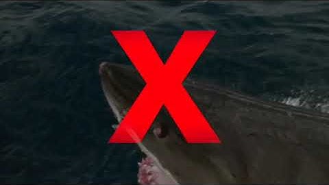 Heuristics and Hostile Attribution Bias