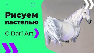 Как нарисовать белую лошадь СУХОЙ пастелью! #Dari_Art(ПОДРОБНЫЙ СПИСОК МАТЕРИАЛОВ ТУТ СПАСИБО ЗА ИДЕЮ К ВИДЕО! Диана Билык Спасибо Вам за замечатель..., 2016-01-22T07:17:25.000Z)