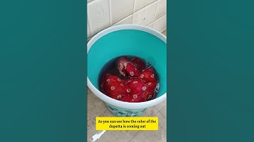 Lock and Stop with Kadam DyFix -Say no to Color Bleeding |Don