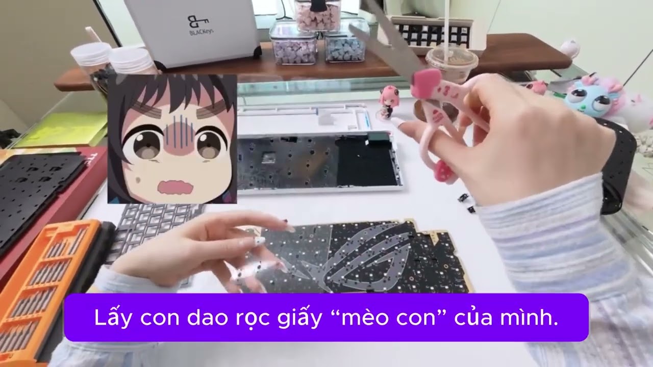 Build Bàn Phím Cơ Custom 2 Triệu Cho Khách P6 | Cái Kết MÃN NHÃN | MiniLab