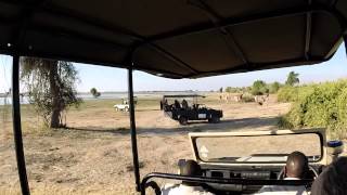 Baobab Game Drive