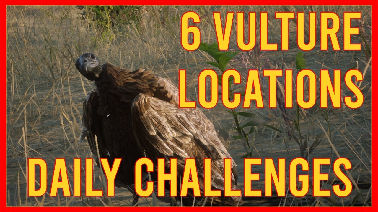 RDR2 Vulture Locations - Red Dead Daily Challenges - YouTube