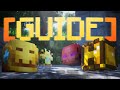 Which TALISMANS Should YOU Buy IN ORDER | Accessory GUIDE | Hypixel Skyblock