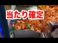 【確率機】空港で見つけた確率機が当たり確定だったので挑戦してみた結果w【少年たちの挑戦】