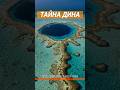 Голубая дыра Дина Тайна, скрытая в глубине #facts #shorts #shortsvideo