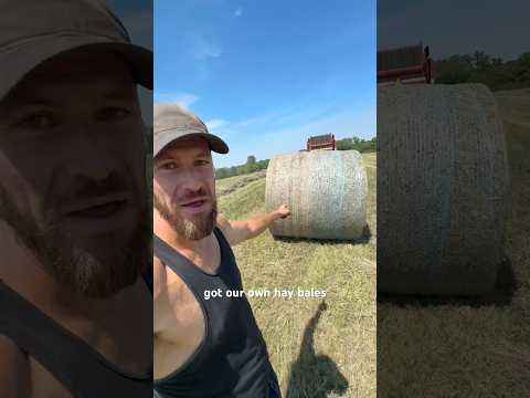 We Made our Own Hay Bales! (from mowing to baling)