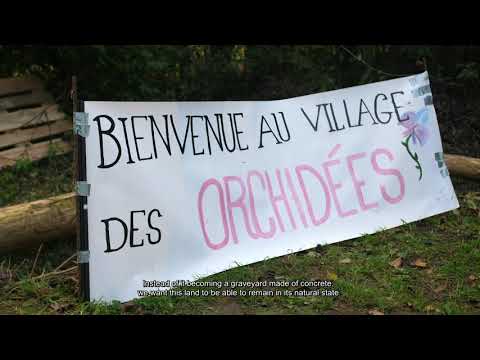 NEW ZAD IN SWITZERLAND - CALL TO ACTION.