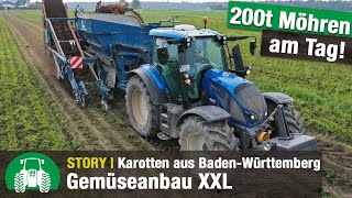 Gemüsebau Großhans Möhrenernte Mit Valtra Traktoren Gemüseanbau L Sonderkulturen Agrar