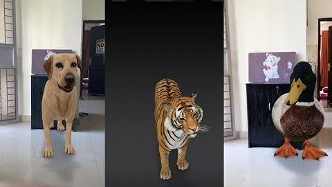 Google 3D Animals on Camera | A short guide | Kids Entertainment